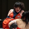 ２９日ぐらいからプロレスリングＷＡＶＥなんとかリーグ戦　新木場