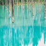 emerald.