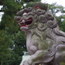 狛犬_荻窪白山神社