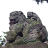狛犬_天沼八幡神社