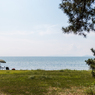 萩の浜にて（夏の琵琶湖畔より）