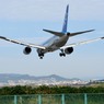 ANA ７８７