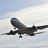 ANA 767