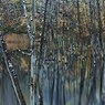 Hesitation of the water surface