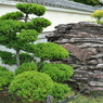 京都洛西散策01