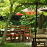 京都洛西散策08
