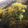 湖畔の輝き
