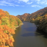 紅葉全開