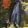 秋を楽しむ滝