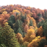 もこもこ山