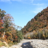 只見の紅葉
