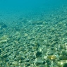 RIVER DRIFT 4