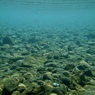 RIVER DRIFT6
