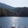 湖面のかがやき