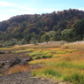 桧原湖の秋