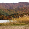 桧原湖の紅葉