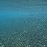 BLUE DRIFT 1