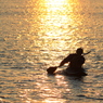 夕日を浴びて