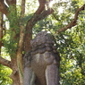 狛犬_靖国神社