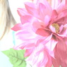 立てば芍薬、座れば牡丹、歩く姿は百合の花