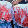 めで鯛
