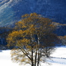 紅葉と雪景色