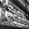 The Killing Fields　PhnomPenh　Cambodia