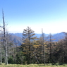 山荘から山頂までの景色
