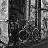 TOKIO STREET SNAP