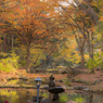 盛岡城跡（岩手）公園　紅葉