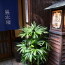 京都７