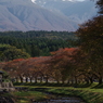 洗沢川の紅葉と鳥海山-2