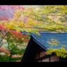屋根と紅葉7