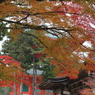 赤と黄