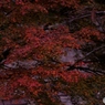 暗がり