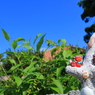 島でいちばんちいさなシーサー