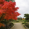 三景園もみじ祭り(8) 16.11.10