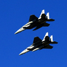 Iruma…（29）..　 Eagle