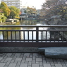 いつもの橋の上