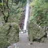 養老の滝