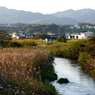 秋の日の川：写真句