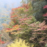 秋も終わりかな