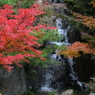三景園もみじ祭り(9) 16.11.10