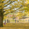 奈良公園