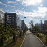 ふらり散歩　誰も居ない昼下がり