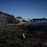 P1000584