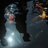 少年たち