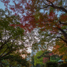 日比谷公園