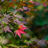 鎌北湖(8)