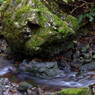 大谷木川（６）
